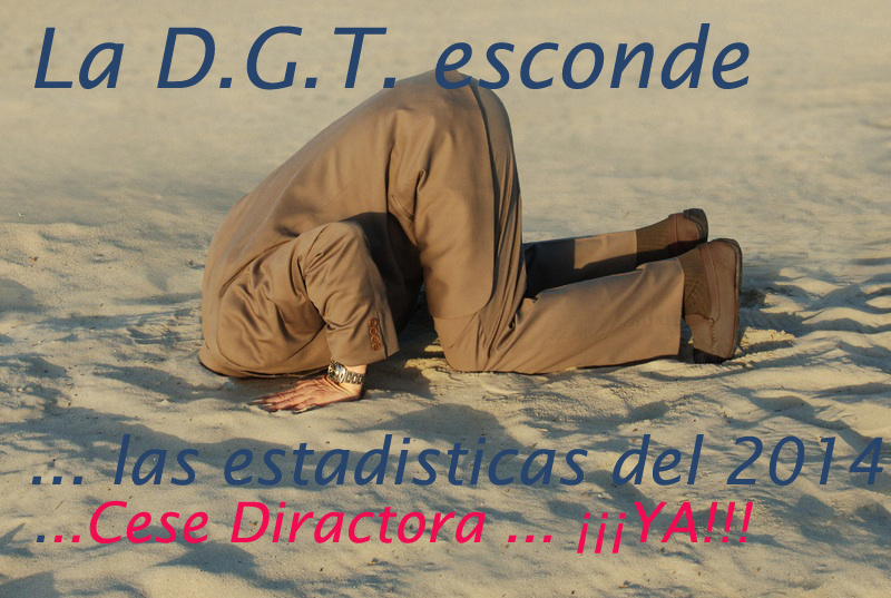 Avestruz DGT copia
