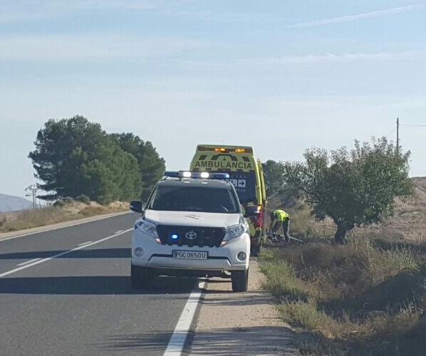 Foto accidente motorista fallecido arbol 10 octubre 2015.jpg
