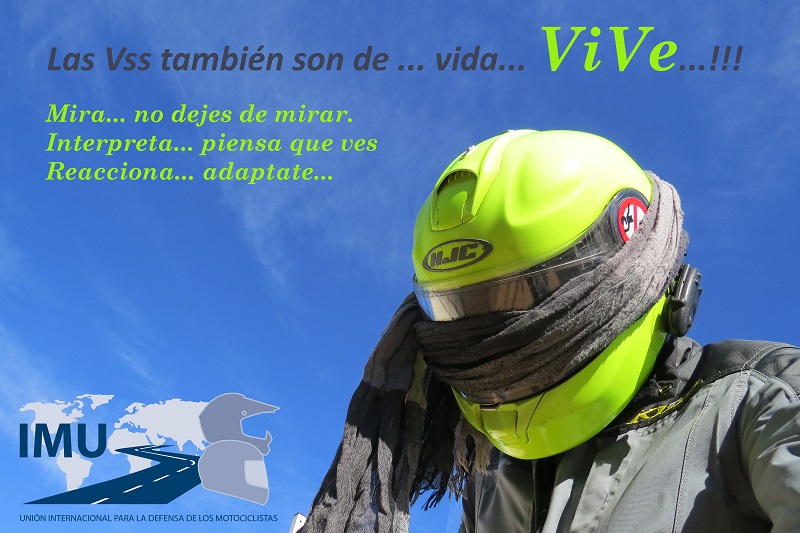 Vive 01 reducido.jpg
