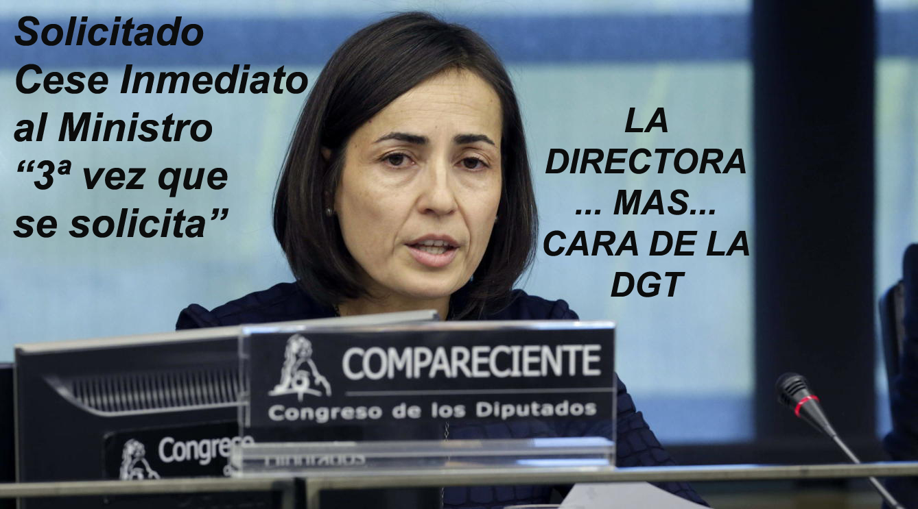 Directora General de Tráfico cese copia2.jpg