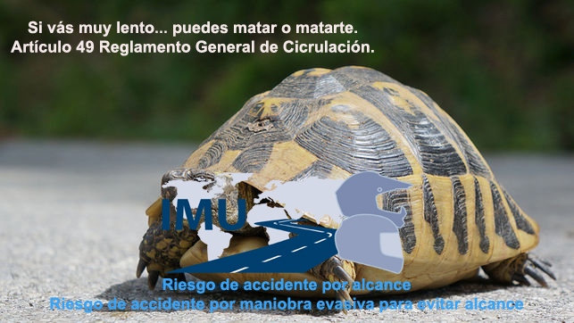 tortuga 02.jpg