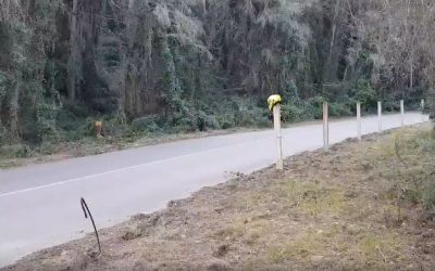 Si te sales de la carretera y te matas …