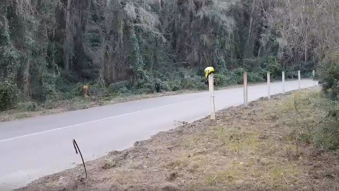 Si te sales de la carretera y te matas …
