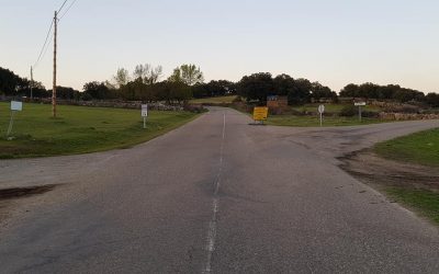 Delito contra la seguridad del tráfico.