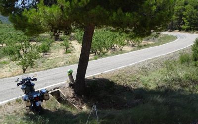 45 años saltandose la Ley… Con la impunidad de la ignorancia y la conducta temeraria.