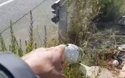 Fiscales!!!… hay delincuentes en materia de seguridad vial que no son conductores.