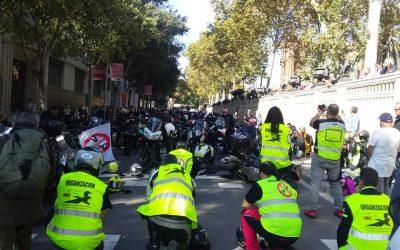 MÁS DE 20.000 MOTORISTAS