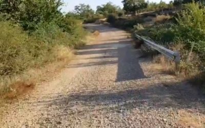 Si la D.G.T. denunciara…