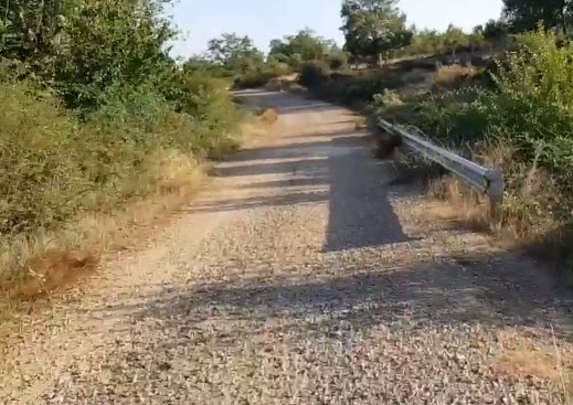 Si la D.G.T. denunciara…