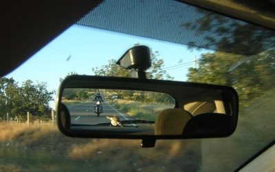 y mañana viernes en Vive la Moto 2022