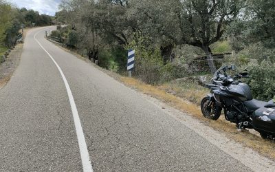 7 motoristas fallecidos este fin de semana el fracaso de la DGT sigue acumulando ciudadanos MUERTOS.